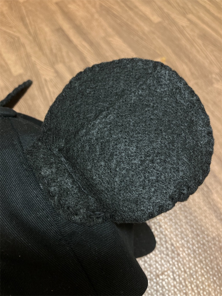 f:id:Mrs_Plum:20241023125832j:image