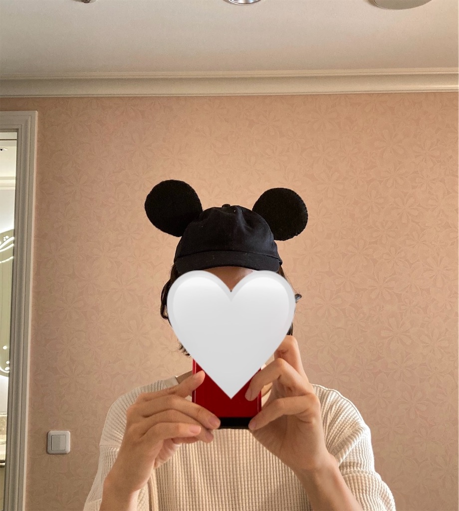 f:id:Mrs_Plum:20250125213644j:image