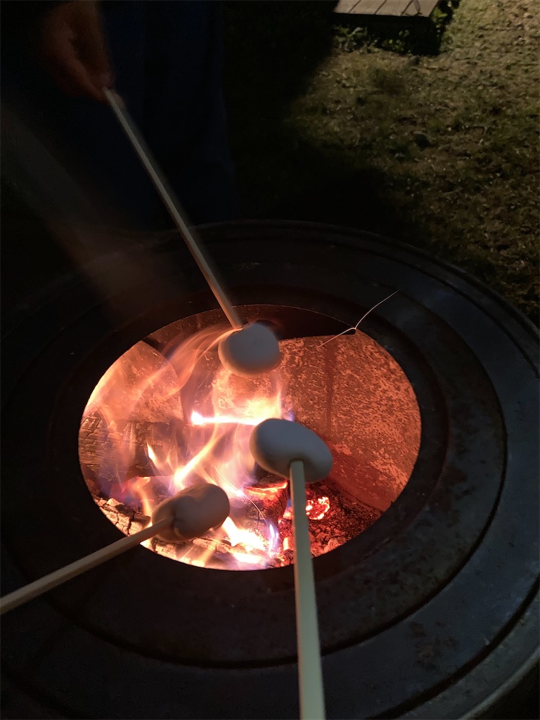 f:id:Mrs_Plum:20250508164356j:image