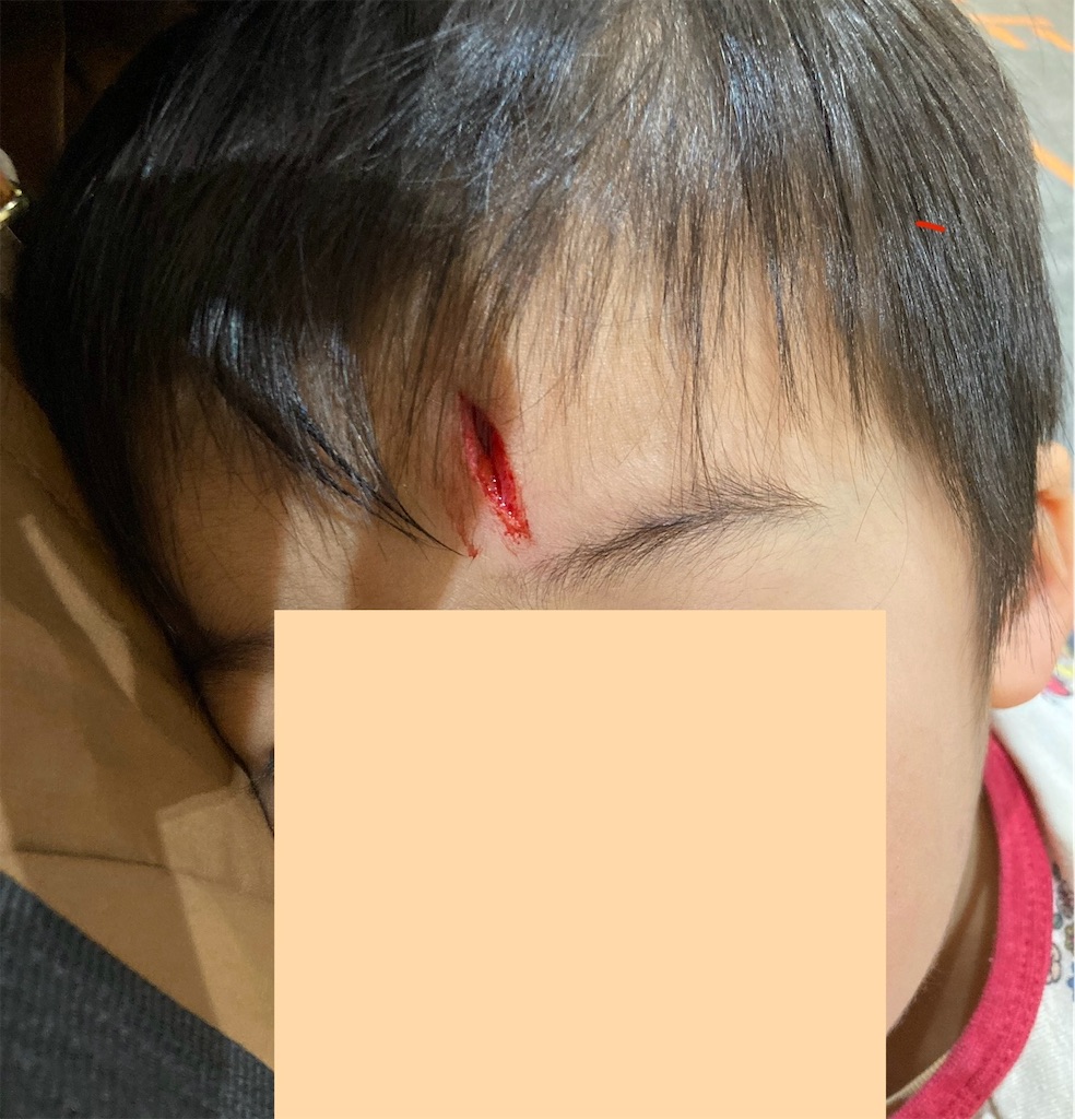 f:id:Mrs_Plum:20260104213925j:image