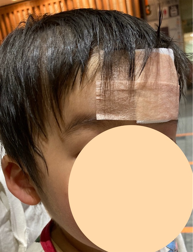 f:id:Mrs_Plum:20260104214002j:image