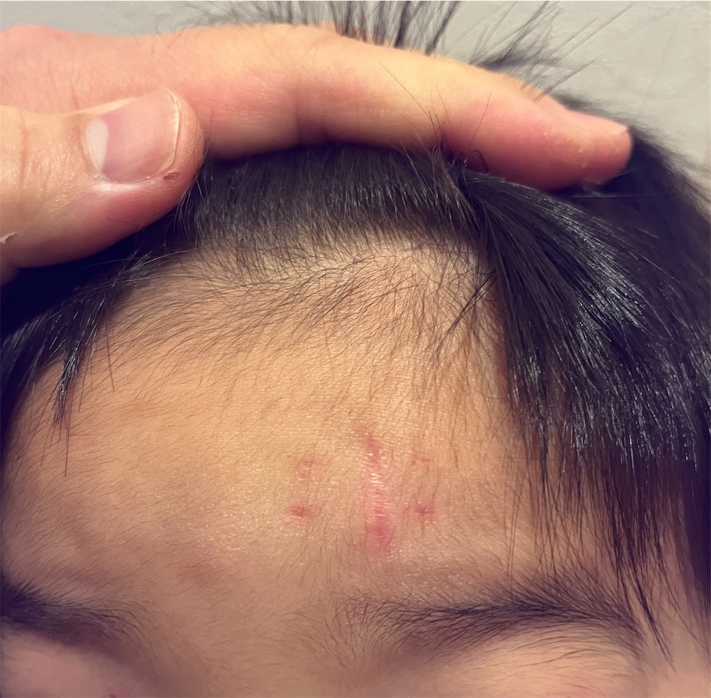 f:id:Mrs_Plum:20260104214524j:image