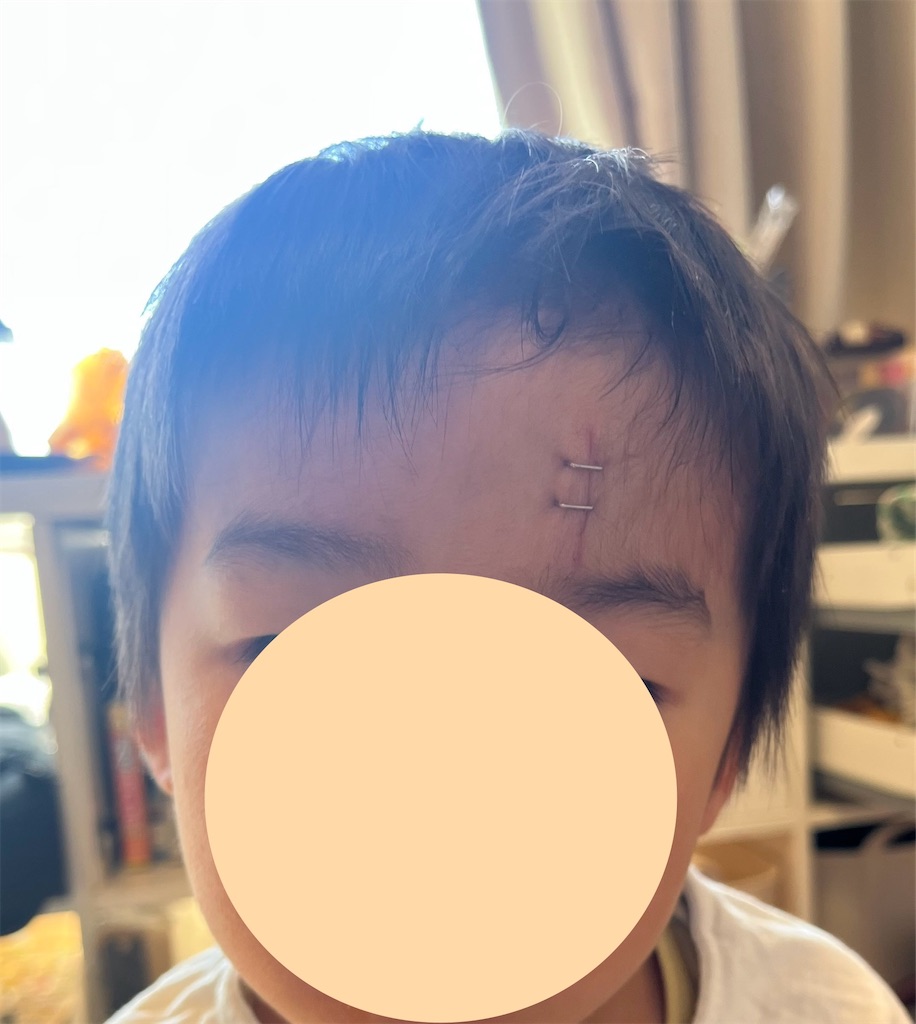 f:id:Mrs_Plum:20260104214528j:image