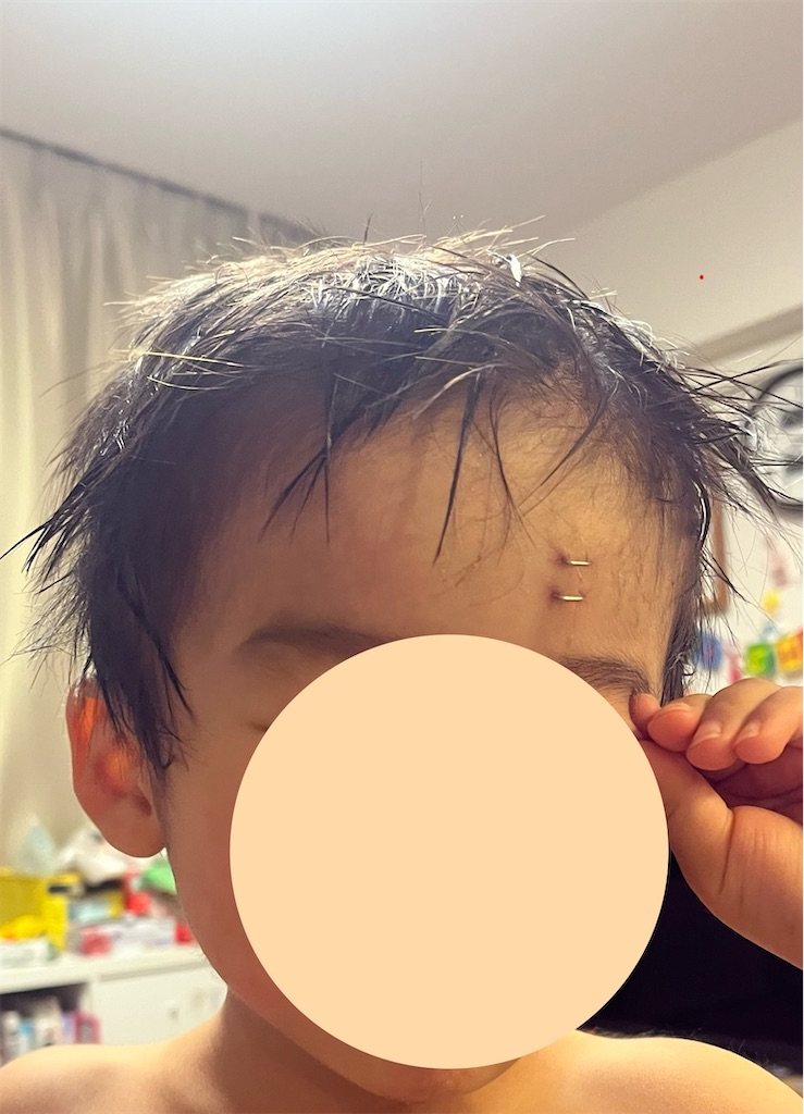 f:id:Mrs_Plum:20260104214721j:image