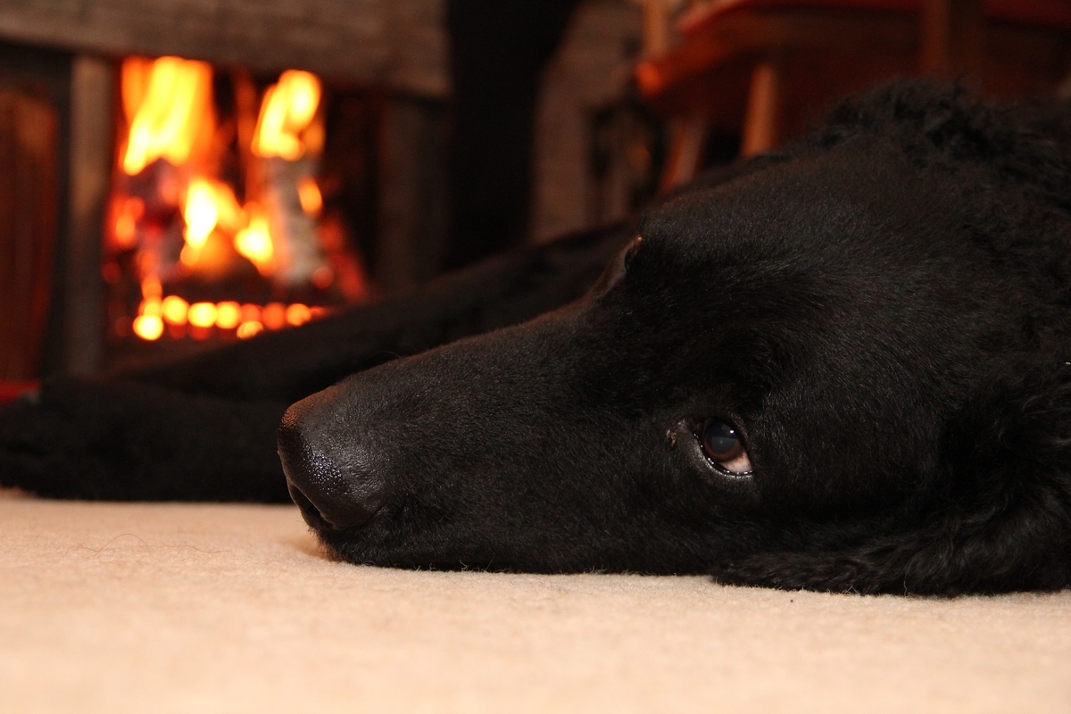原因