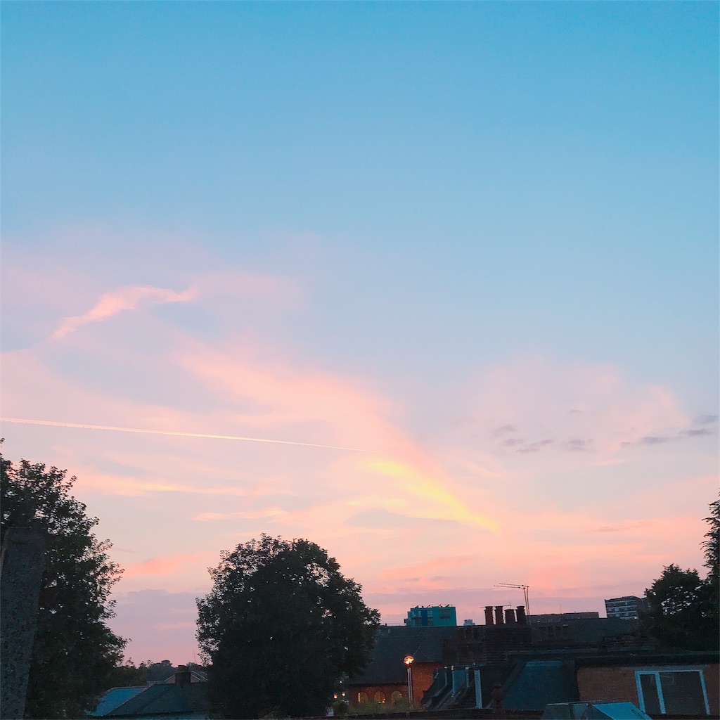 f:id:MsBiscuit:20180706195247j:image f:id:MsBiscuit:20180706195247j:image