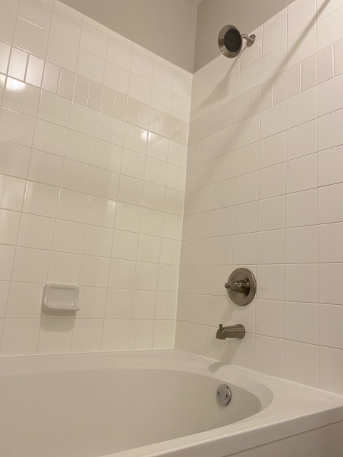 アメリカのホースがないシャワー