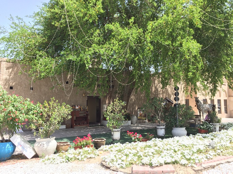 f:id:MsTama:20190822192557j:plain f:id:MsTama:20190822192557j:plain