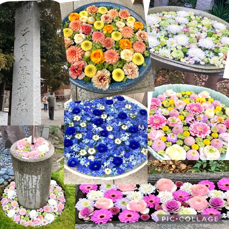 f:id:MsTama:20220218154451j:plain
