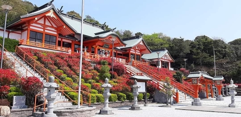 f:id:MsTama:20220301165747j:plain