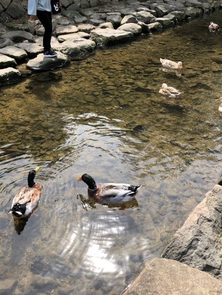 f:id:MsTama:20220305235827j:plain