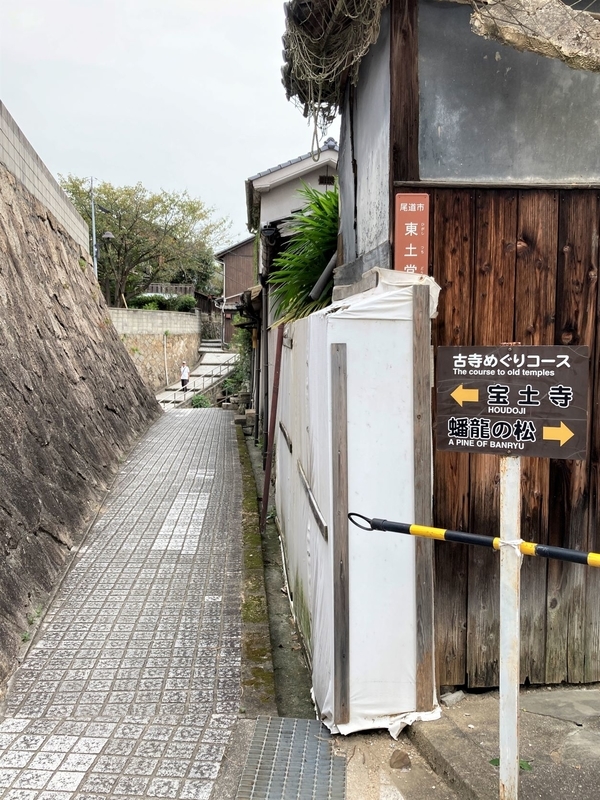 f:id:MsTama:20220413012603j:plain