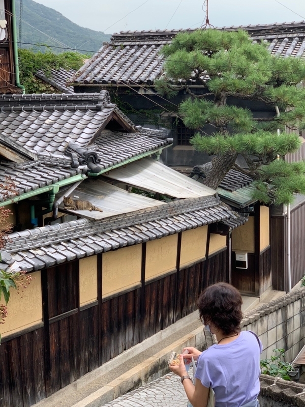 f:id:MsTama:20220413020017j:plain