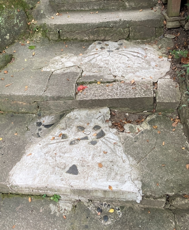 f:id:MsTama:20220413020122j:plain