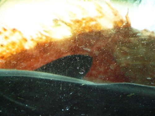 f:id:Msakae:20090324095539j:image