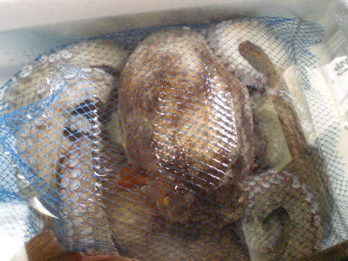 f:id:Msakae:20090705094935j:image