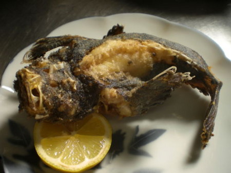 f:id:Msakae:20110228102605j:image
