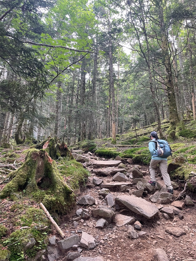 f:id:Mt_teresan:20240910122356j:image f:id:Mt_teresan:20240910122356j:image