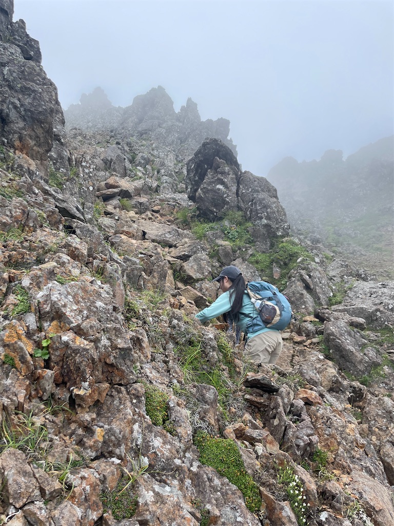 f:id:Mt_teresan:20240910125043j:image f:id:Mt_teresan:20240910125043j:image