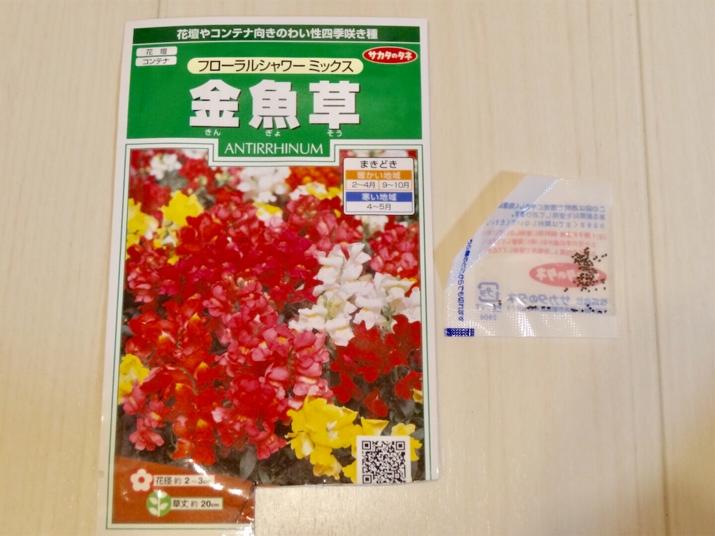 金魚草 力尽きる 種まき再トライ お天気めがねの家庭菜園日記