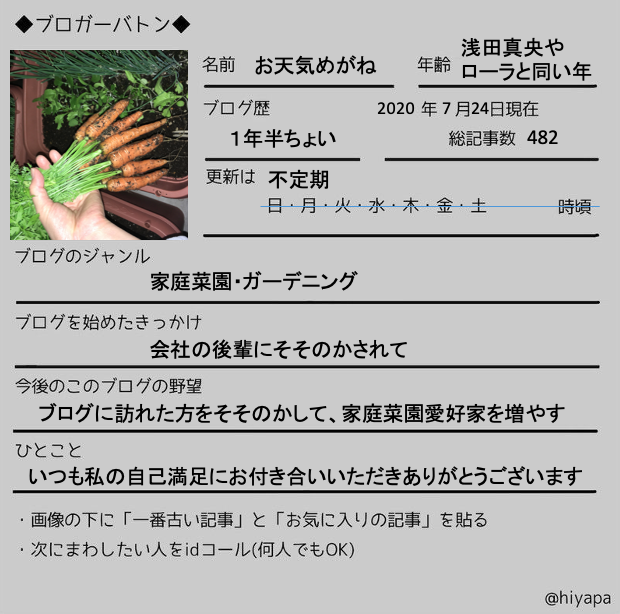 ブロガーバトンが回ってきた お天気めがねの家庭菜園日記