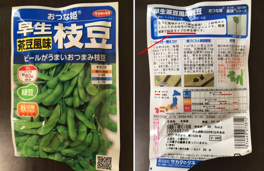枝豆の初収穫 最高のビールのつまみ お天気めがねの家庭菜園日記