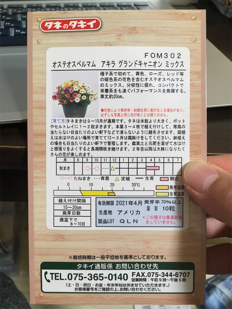 オステオスペルマムの種まきと挿し木 お天気めがねの家庭菜園日記