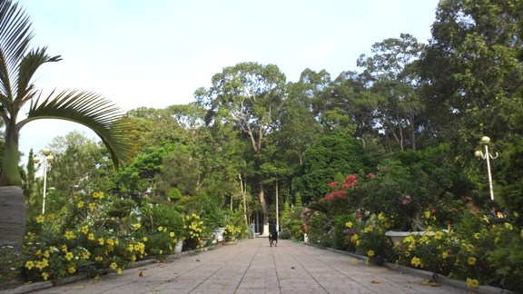 f:id:Mtatibana:20160703223725j:plain f:id:Mtatibana:20160703223725j:plain