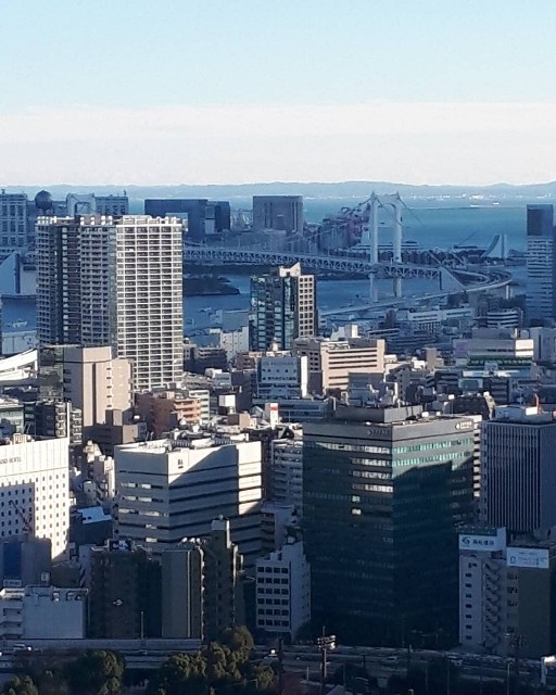 f:id:Mtdistant:20190104073351j:image