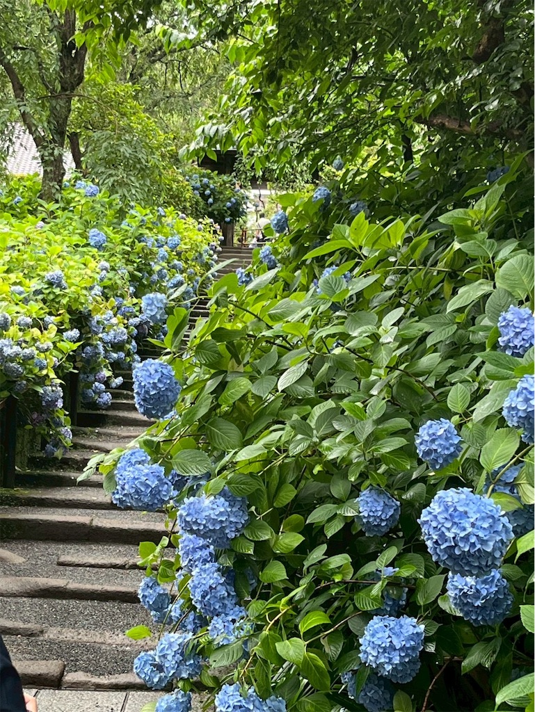f:id:Mtdistant:20260705203651j:image f:id:Mtdistant:20260705203651j:image