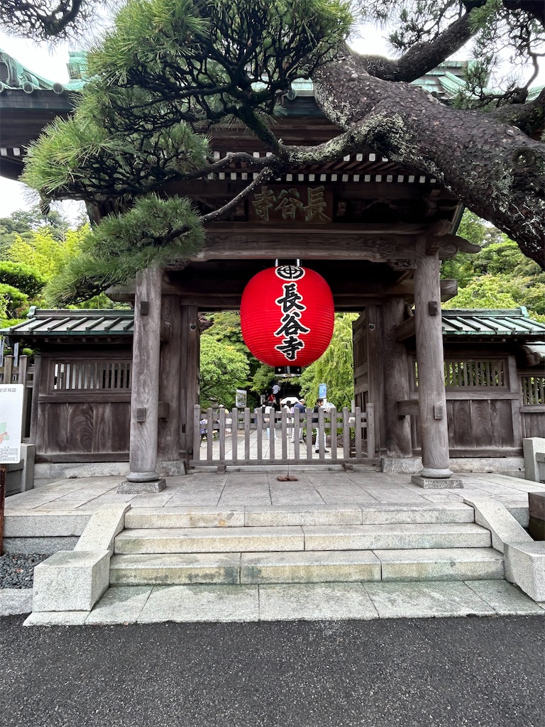 f:id:Mtdistant:20260720200157j:image f:id:Mtdistant:20260720200157j:image