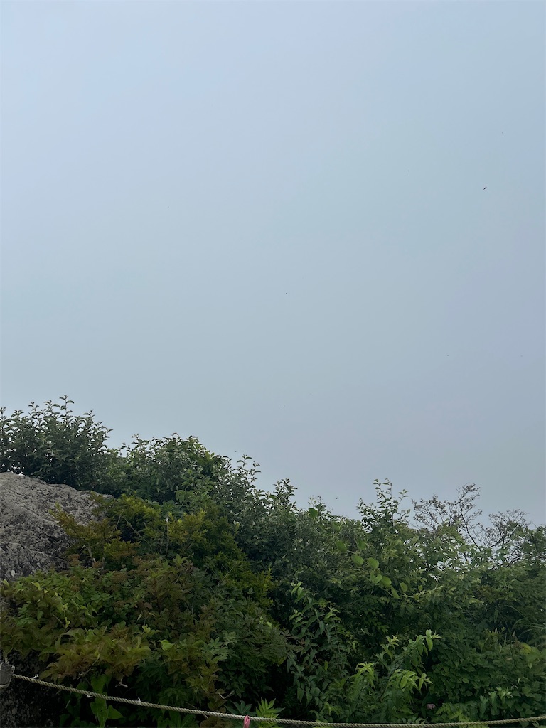 f:id:Mtdistant:20260720211708j:image f:id:Mtdistant:20260720211708j:image