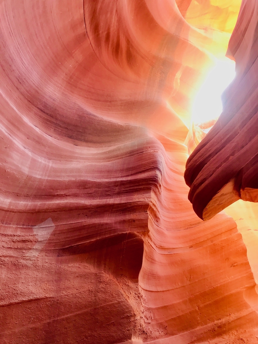 f:id:Mtkisco3:20190407113125j:plain