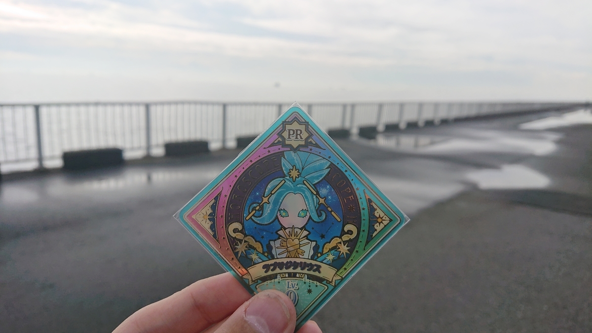 f:id:Mugikatsu:20210205153754j:plain