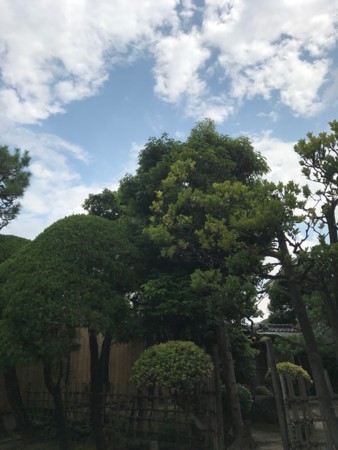 f:id:Muho:20170719135457j:plain
