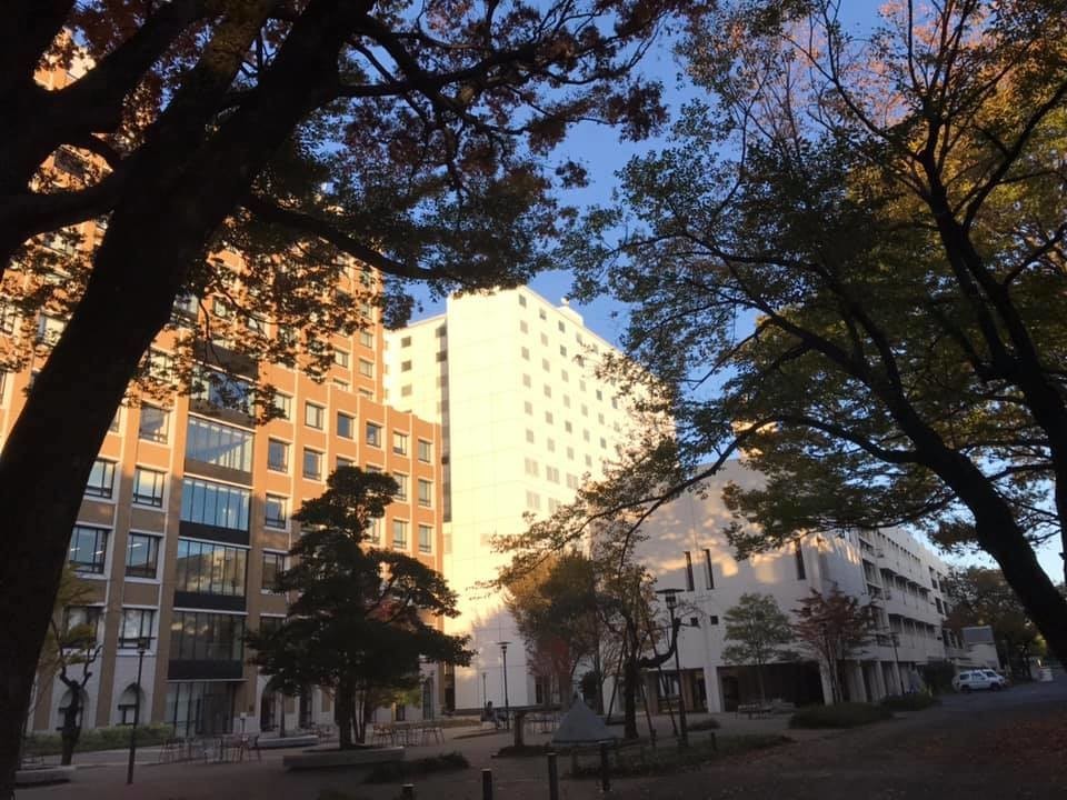f:id:Muho:20191124170423j:plain