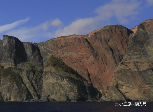 f:id:MuninBoninOgasawara:20200620202745j:plain