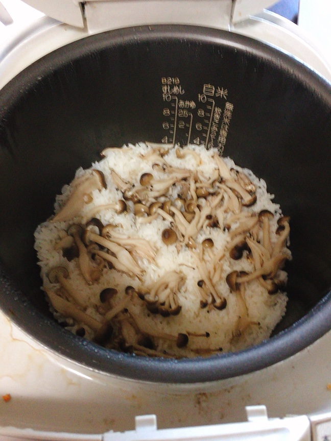 f:id:Musclelike:20200330140813j:plain