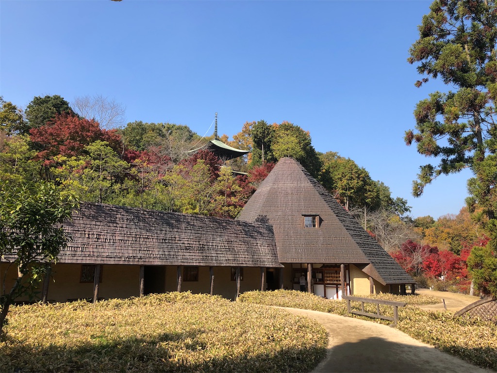 f:id:MuseumHopping:20201123142250j:image
