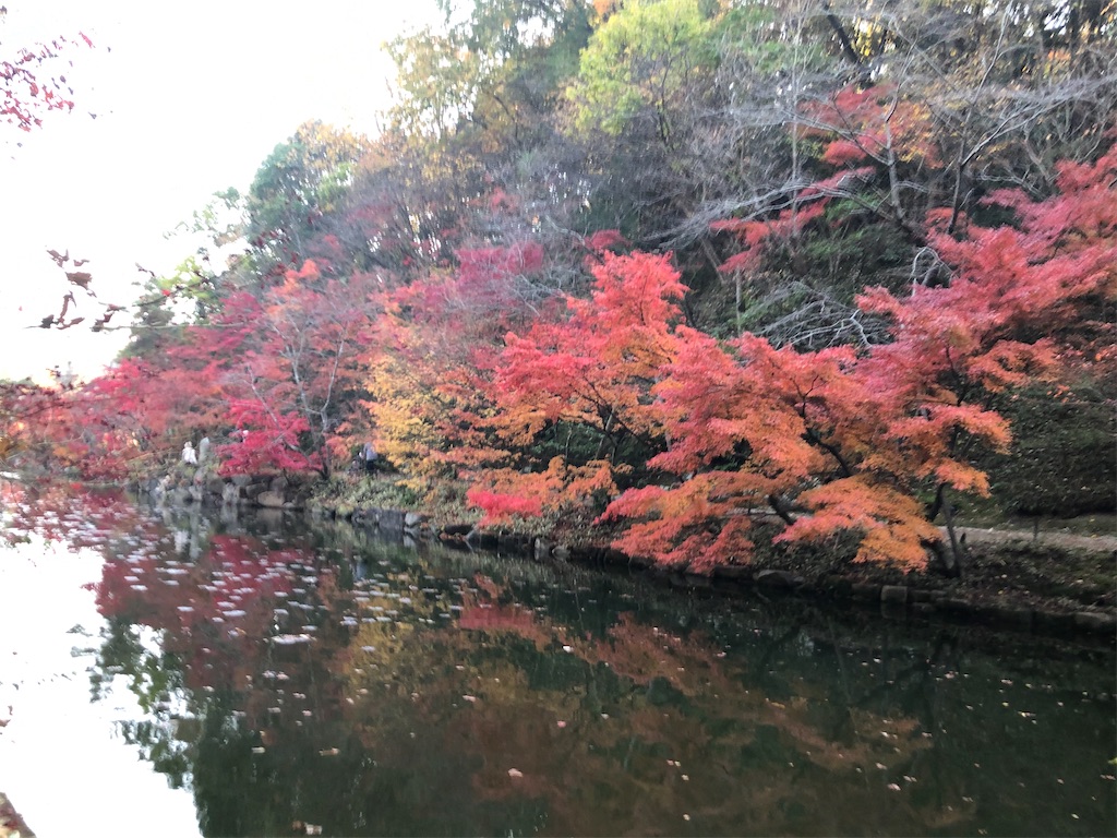 f:id:MuseumHopping:20201129134356j:image