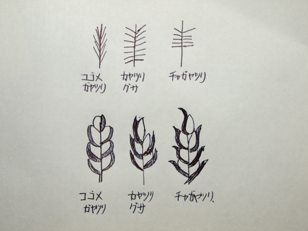 f:id:MusiKure:20190829053452j:plain f:id:MusiKure:20190829053452j:plain