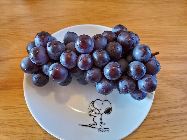 f:id:MusiKure:20191217194309j:image f:id:MusiKure:20191217194309j:image