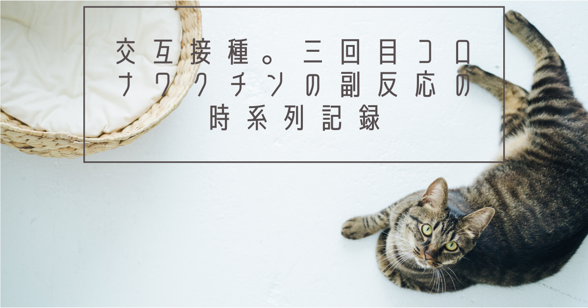 f:id:Mutoh:20220409163501p:plain