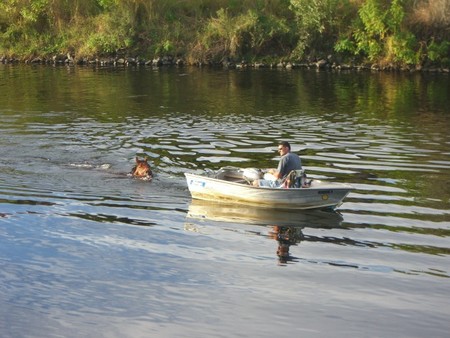 f:id:Muzza:20060525155804j:image f:id:Muzza:20060525155804j:image