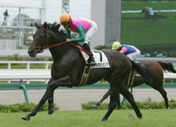 f:id:Muzza:20060526013952j:image