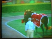 f:id:Muzza:20060527161310j:image