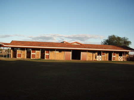 f:id:Muzza:20080718072132j:image