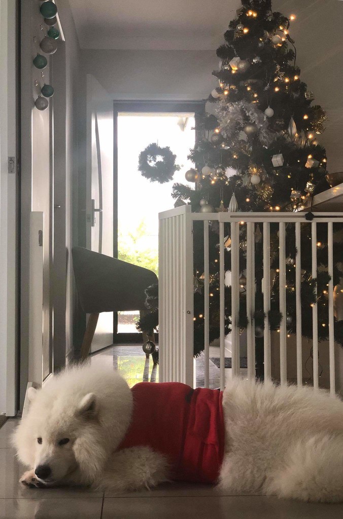 f:id:Muzza:20181225222053j:plain