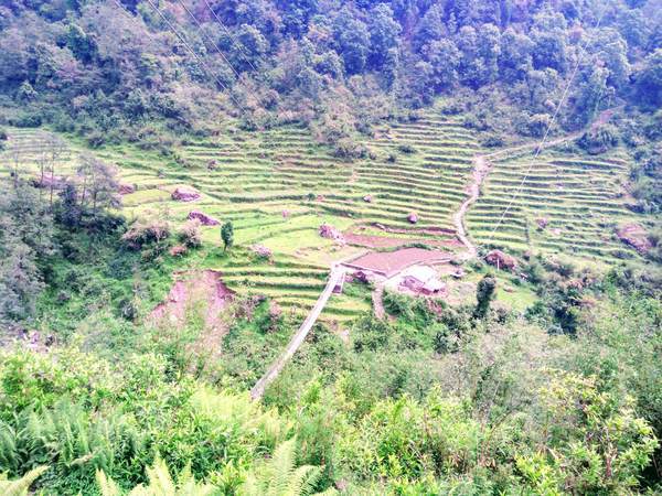 f:id:My-my-life:20200309160820j:plain