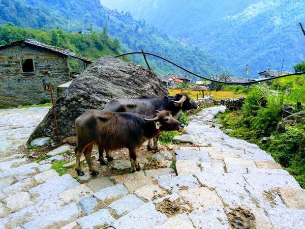 f:id:My-my-life:20200309160835j:plain